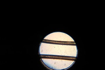 2019_01_mikroskop