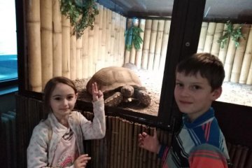 Družina v krokodýlí zoo