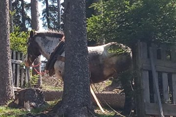 Knihoráj Borůvka - pondělí 27. 5.