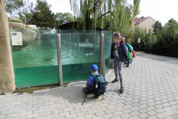 Září 2019- Zoo v Ústí nad Labem