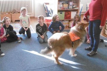 Leden 2020- Návštěva - asistenční pes