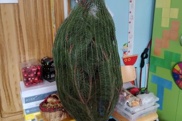 Náš vánoční strom