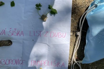ŠvP Dolejší Těšov - 2. den