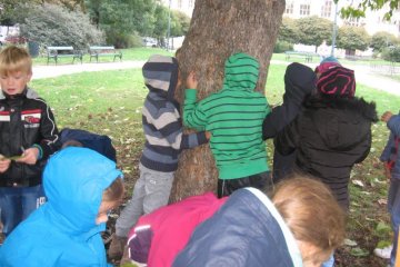 Poznáváme stromy v okolí školy