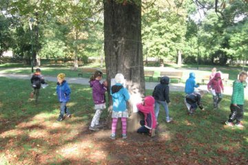 Poznáváme stromy v okolí školy