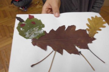 podzimní obrázky - koláž z listů