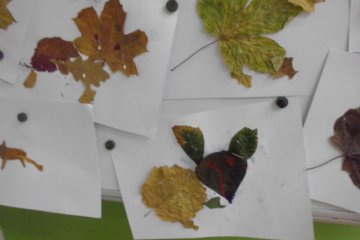 podzimní obrázky - koláž z listů