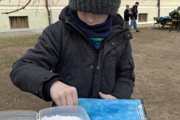 Cukr a sůl