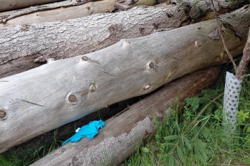 ŠvP -  zvířátka na naší planetě