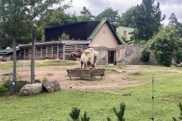 ŠvP - zvířátka na naší planetě - 11. 6.