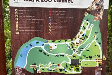 ŠvP - zvířátka na naší planetě - 11. 6.