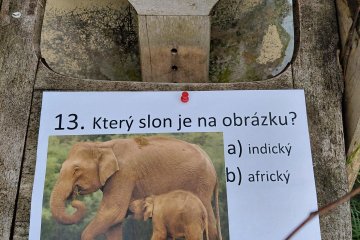 ŠvP - zvířátka na naší planetě - 12. 6.