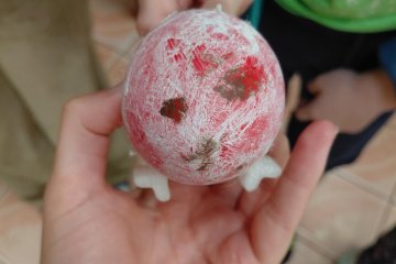 ŠvP - zvířátka na naší planetě - 12. 6.