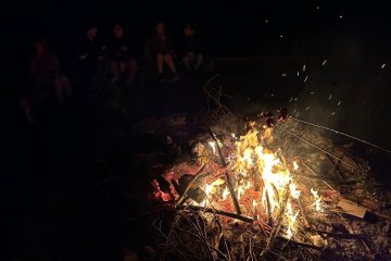 ŠvP - zvířátka na naší planetě - 12. 6.