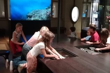 Lemniskáta a Národní muzeum