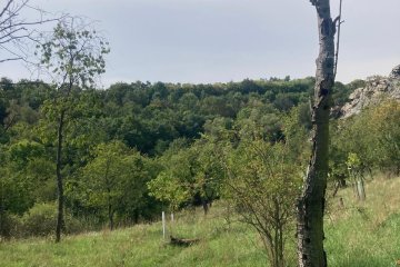 Divoká Šárka - Praha 6