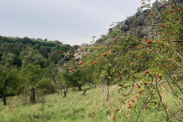 Divoká Šárka - Praha 6