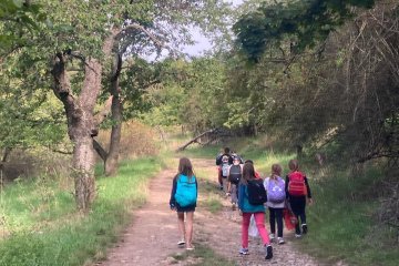 Divoká Šárka - Praha 6