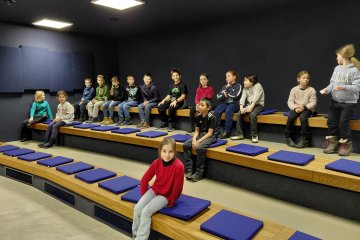 Český lev se schovává v muzeu