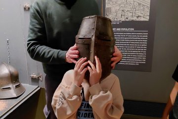 Český lev se schovává v muzeu