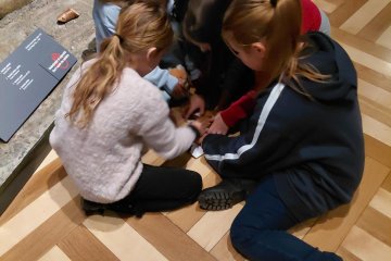 Český lev se schovává v muzeu