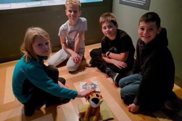 Český lev se schovává v muzeu