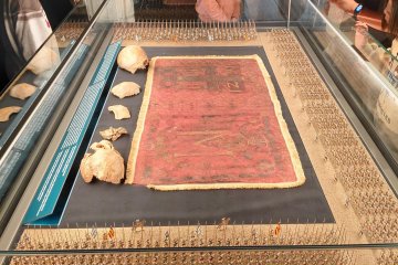 Český lev se schovává v muzeu