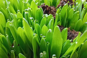 Velikonoční dopoledne i odpoledne