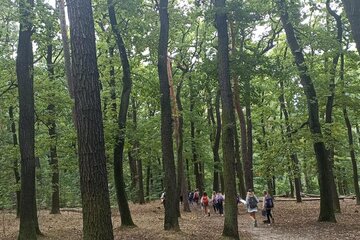 Poznáváme Prahu-výlet do obory Hvězda