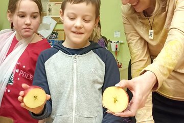 Advent a Vánoce ve 4.B