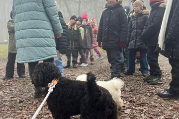 Advent a Vánoce ve 4.B