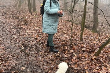 Advent a Vánoce ve 4.B