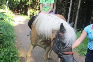 Škola v přírodě - Turnovská chata, čtvrtek 15. 6. 2017