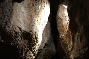 Školní výlet - Koněpruské jeskyně