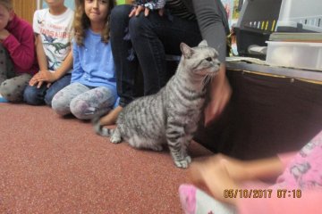 Den zvířátek v naší třídě