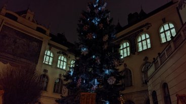 Rozsvícení vánočního stromu na Lyčkově náměstí