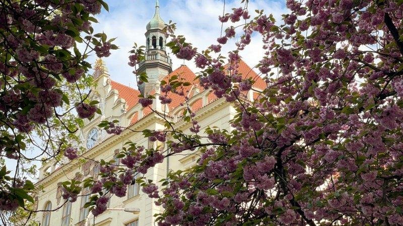 Ředitelské volno 2. 5. a 8. 5.