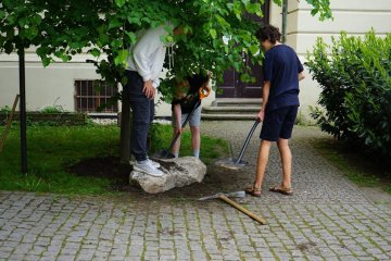 Pamětní kámen u naší lípy