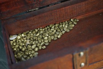 Tři králové opět navštívili i školu