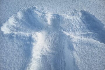 Zimní škola v přírodě s lyžováním aneb „ZOH na Špičáku“