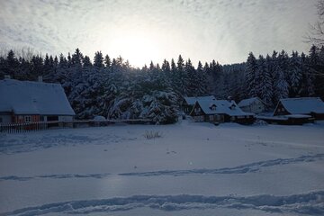 Zimní škola v přírodě s lyžováním aneb „ZOH na Špičáku“