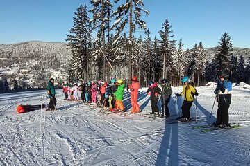 Zimní škola v přírodě s lyžováním aneb „ZOH na Špičáku“