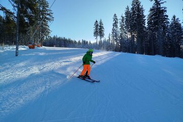 Zimní škola v přírodě s lyžováním aneb „ZOH na Špičáku“