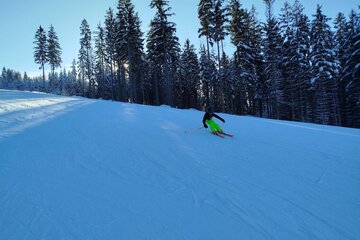 Zimní škola v přírodě s lyžováním aneb „ZOH na Špičáku“