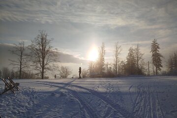 Zimní škola v přírodě s lyžováním aneb „ZOH na Špičáku“