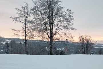 Zimní škola v přírodě s lyžováním aneb „ZOH na Špičáku“